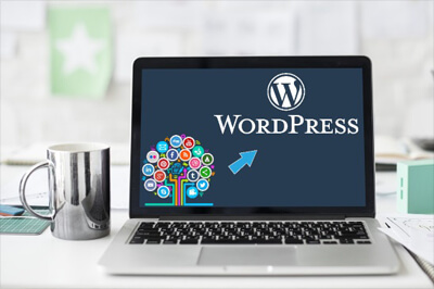 11WordPress Training Course